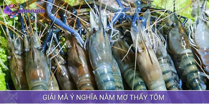 Giải mã ý nghĩa chi tiết giấc mơ về tôm dành cho bạn 