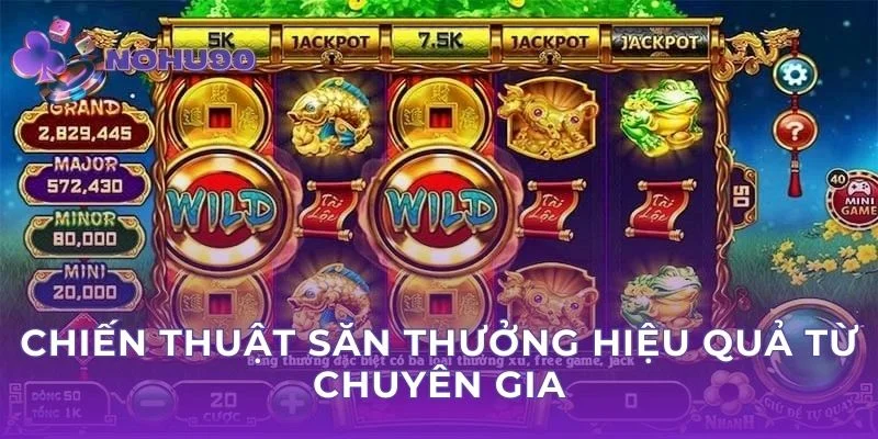 Chiến thuật săn thưởng hiệu quả từ chuyên gia
